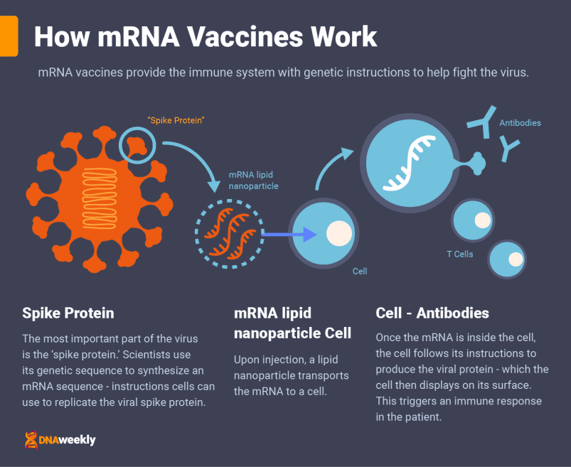 Covid Vaccines