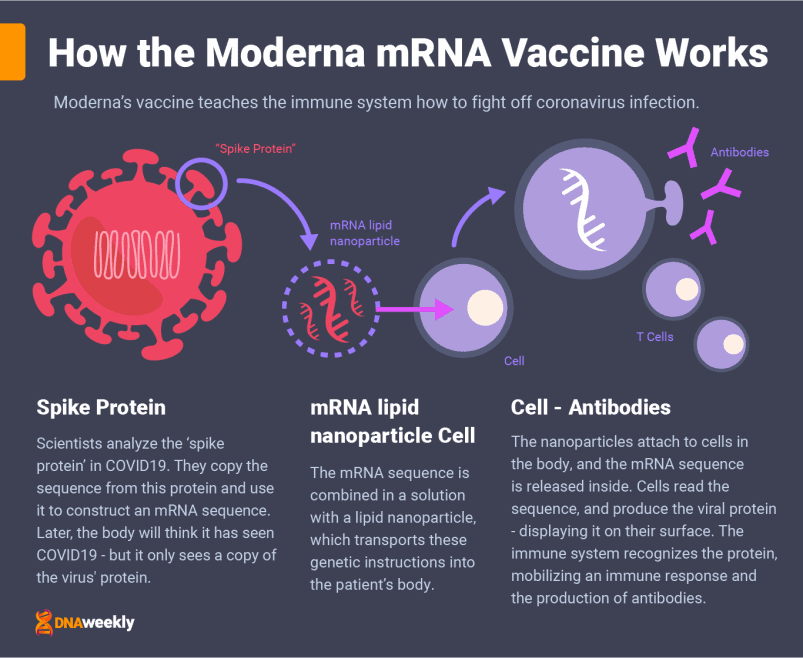 Covid Vaccines