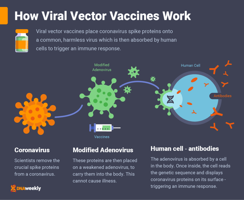 Covid Vaccines