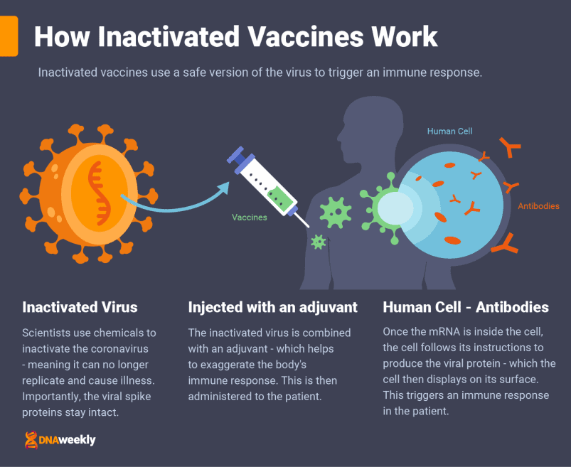 Covid Vaccines