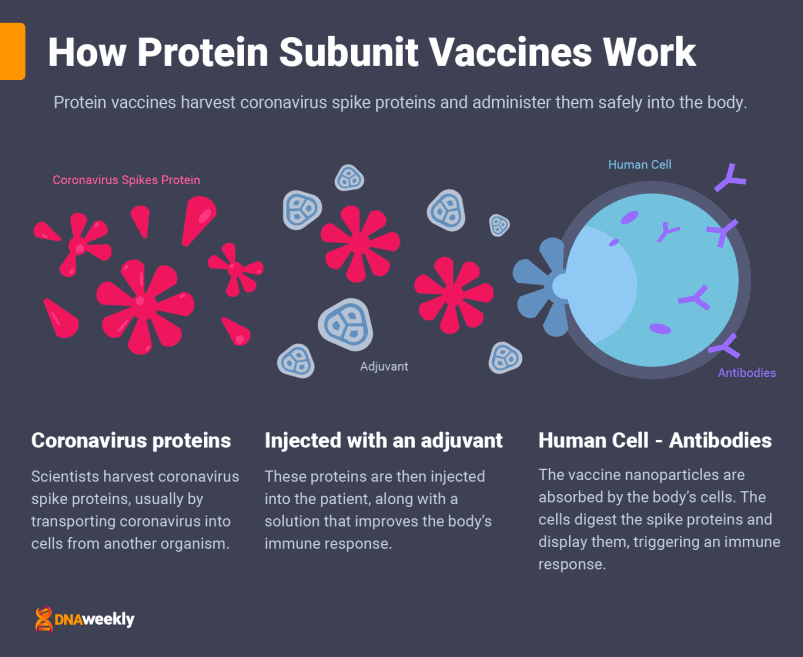 Covid Vaccines