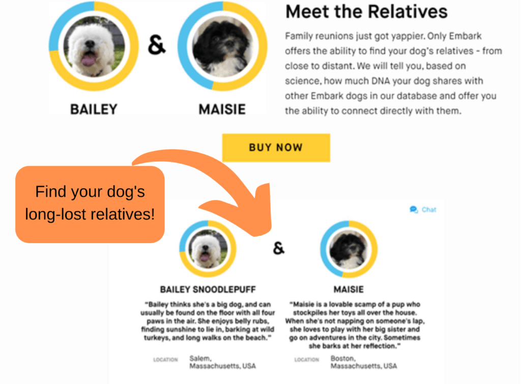 Embark Dog Relative Finder