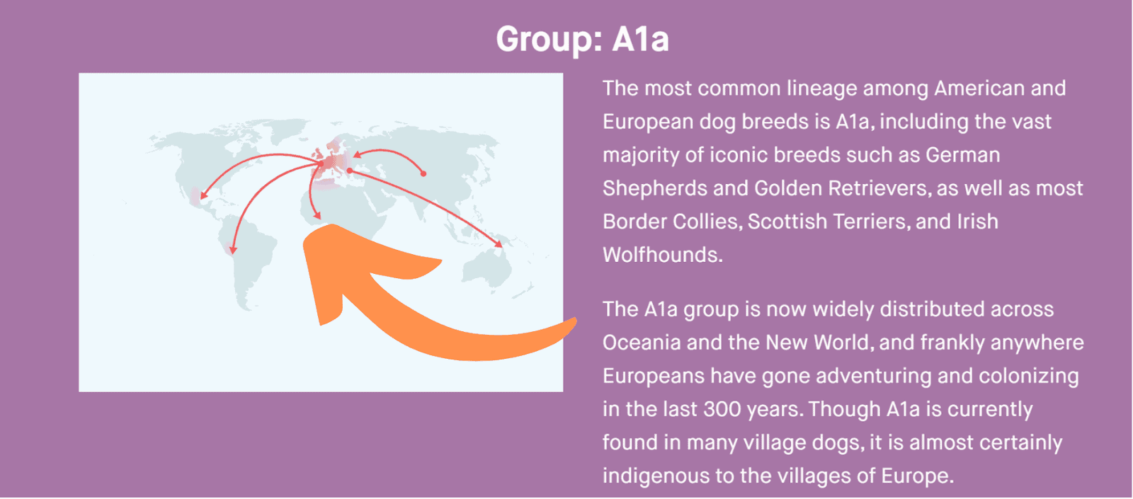 Embark vs Wisdom Panel 2024 Which Dog DNA Test is Best?