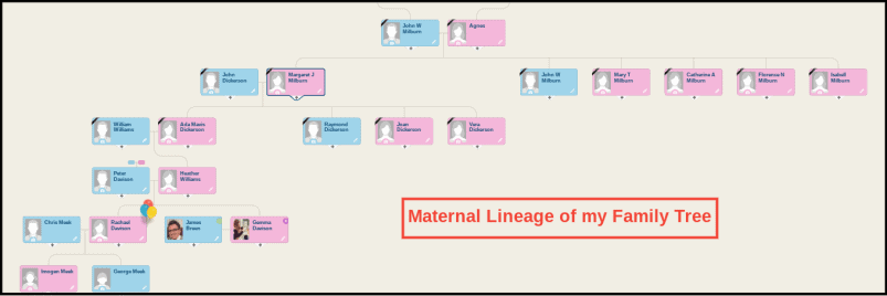 MyHeritage Family Tree Family View