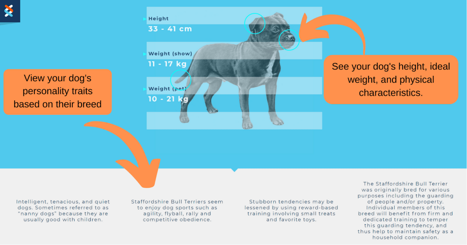 Embark vs Wisdom Panel 2024 Which Dog DNA Test is Best?