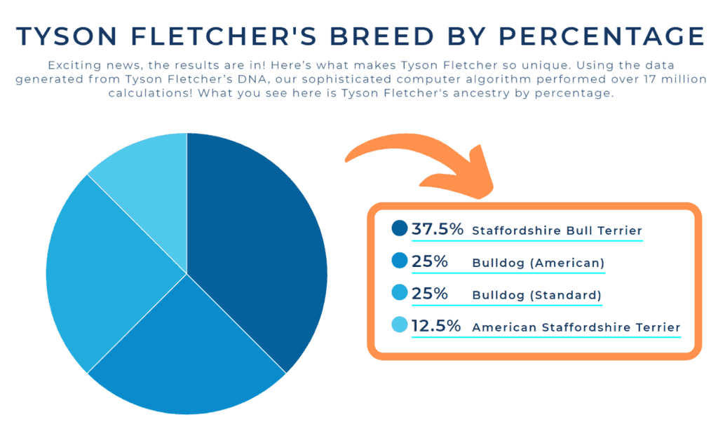 Wisdom Panel breed percentage identification