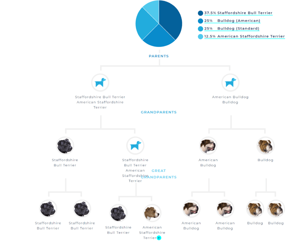 Wisdom Panel dog family tree