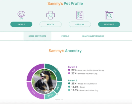 Orivet Identifies Pet Breed Type