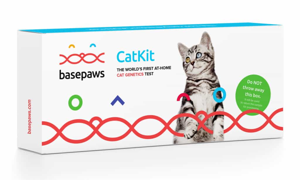 How long has Basepaws been in the industry and what was the inspiration behind starting the company?