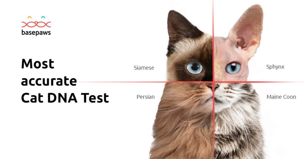 What are some of the more common reasons that pet owners would have to do a pet DNA test?