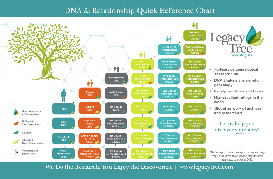 Reading Genealogy Charts - DNA Family Tree by Super Slick Science